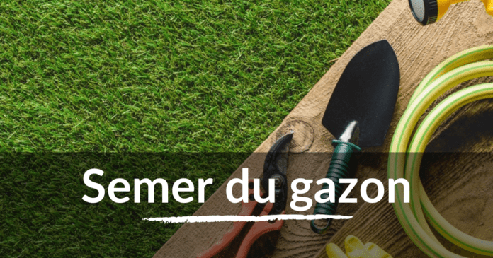 8. Semer du gazon – comment implanter correctement une pelouse verte -  Fuxtec Astuces-Jardin